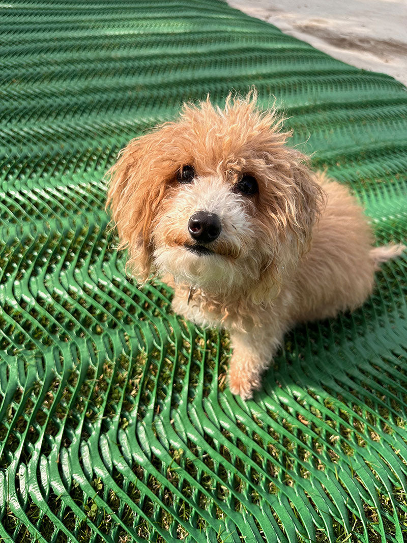 Grass Protection Mesh - MudStop™ HG - Heavy Grade